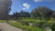 Sivas Ihr Zuhause im kretischen Bergidyll: 1.498 m² Bauland nahe Sivas Kern, Kreta Grundstück kaufen